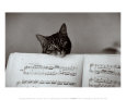 Partition Art Print by Edouard Boubat