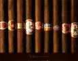 Photographies couleur de cigares Posters