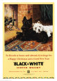 Black and White Scotch Konsttryck