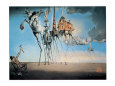 The Temptation of Saint Anthony (Dali) Posters