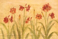 Row of Red Amaryllis Art Print by Cheri Blum