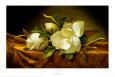 Still Life (Fine Art) Posters
