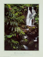Cascada de selva pluvial, Hawai Lámina por William Neill