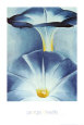 Blue Morning Glories Art Print by Georgia O'Keeffe