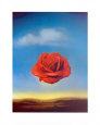 Rose Medidative, c.1958 Art Print by Salvador Dalí