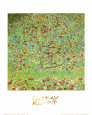 The Apple Tree Art Print by Gustav Klimt