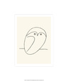 Owls (Fine Art) Posters