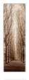 Poplar Trees Art Print by Alan Blaustein