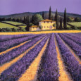 Lavanda Pósteres
