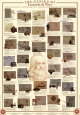 Leonardo da Vinci (Retrato) Posters