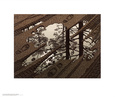 Puddle Kunstdruk van M. C. Escher