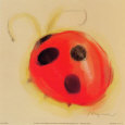 Ladybug Art Print by Anthony Morrow