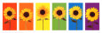 Sunflower Rainbow