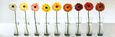 Bloemen & botanisch Posters