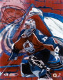 Patrick Roy - Portrait Plus