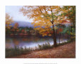 Otoño dorado Lámina por Diane Romanello