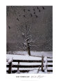 Vuelo de invierno Lámina por Bob Timberlake