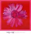 Daisy, c.1982 (Crimson and Pink) Art Print by Andy Warhol