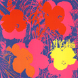 Flowers, 1970 (Red, Yellow, Orange on Blue) Art Print by Andy Warhol