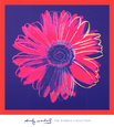Gänseblümchen, ca. 1982 (blau und rot) Kunstdruck von Andy Warhol