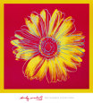 Daisy, c.1982 (Fuchsia and Yellow) Art Print by Andy Warhol