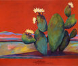 Cactus Pósteres