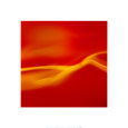 Human Body