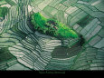 Farmland (Color Photography) Posters