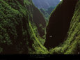 Canyons Posters