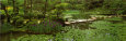 Japanese Garden Poster