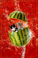 Gatitos