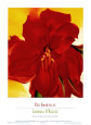 Red Amaryllis, 1937 Art Print by Georgia O'Keeffe