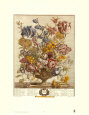 Twelve Months of Flowers, 1730, April Art Print by Robert Furber