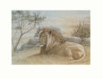 Lions (Decorative Art) Posters