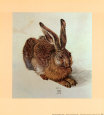 Junger Hase Kunstdruck von Albrecht Dürer