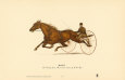 Mauds Reproduction d'art