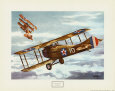 Spad francés, 1916 Lámina por Alfred Owles