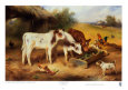 Amigos de la granja, 1920 Lámina por Walter Hunt