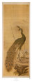 Peacock Kunstdruck von Yanagisawa Kien
