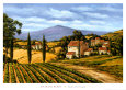 French Vineyards Posters
