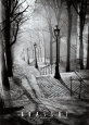 Les Escaliers de Montmartre, Paris Reproduction d'art par Brassaï