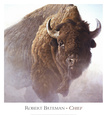 Jefe Lámina por Robert Bateman