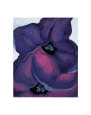 Purple Petunias, 1925 Art Print by Georgia O'Keeffe