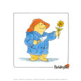 Paddington Bear Art Print