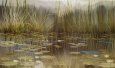 Water Garden Lámina por Robert Holman