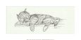 Lazy Days I Impressão artística por Steve O'Connell