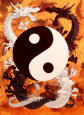 Yin Yang Fabric Poster