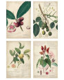 A. Descube Pósteres