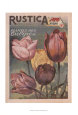 Plantez des Tulips Lámina