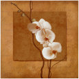 Golden Orchid I Lámina por Lee Carlson